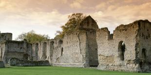 Bishops Waltham Palace