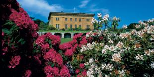 Belsay Hall Castle and Gardens
